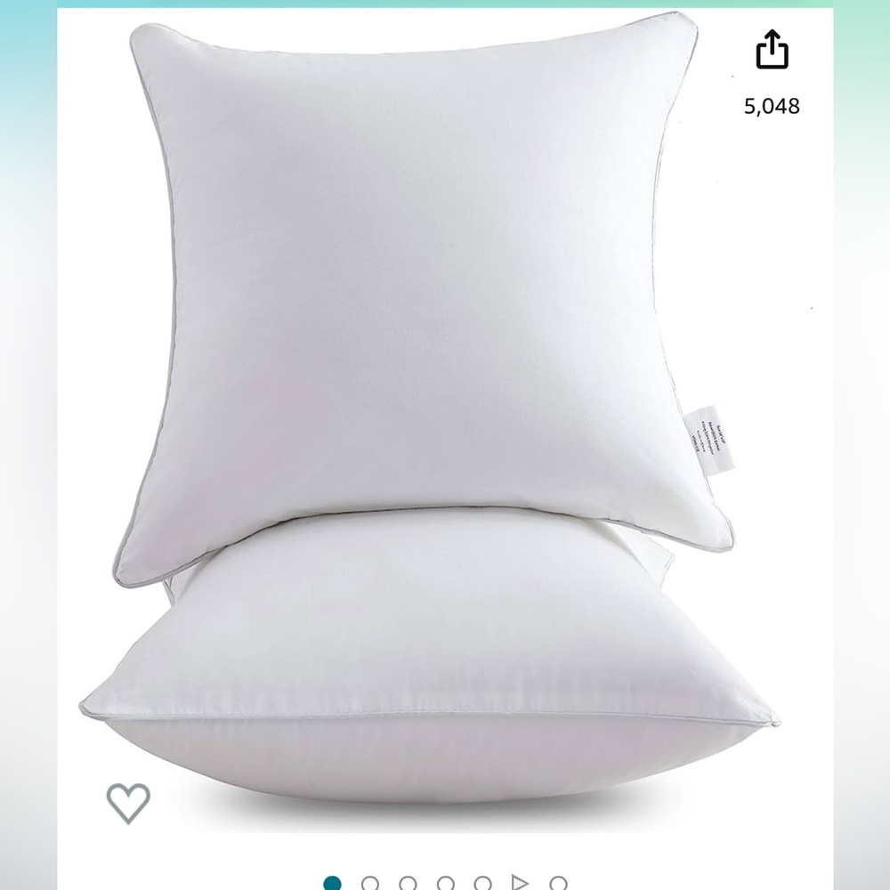 Throw pillow inserts (2)
